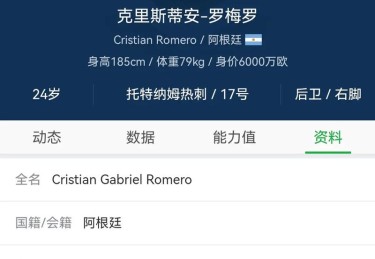 _开云体育app关注：阿根廷的防守压力，罗梅罗的发挥成关键_，阿根廷c罗梅罗