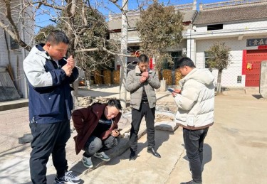 「为何闲家胜出也不少：开云体育官网解答闲家不抽水加成，使部分策略偏向闲注的合理性」