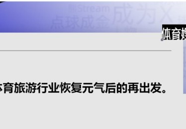 「改变观赛模式：开云体育官网深入剖析虚拟体育与电竞投注平台的双赢前景」