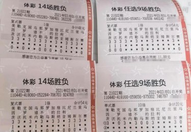 彩市与房市对比：在开云体育官网启发你从宏观角度看待彩票，反思非理性繁荣的风险
