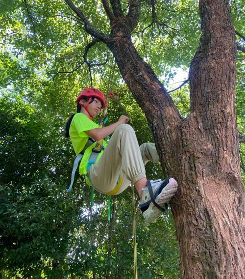 开云体育快讯:AG真人的投注策略,如何有效管理风险?,ag真人平台是真的吗